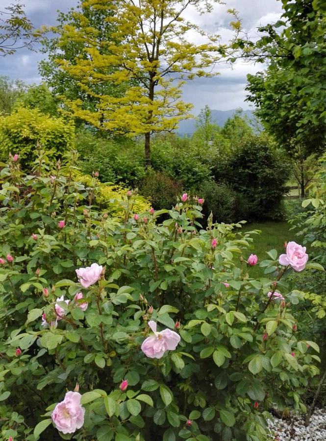 Casa Delle Arti Fattoria Dei Fiori Sospirolo Exterior foto