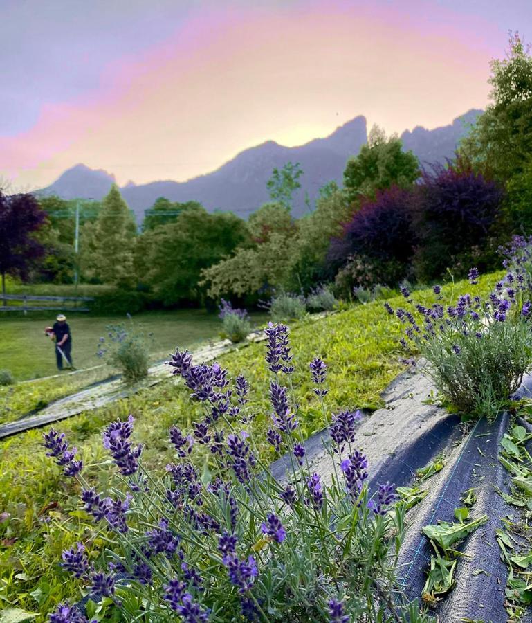 Casa Delle Arti Fattoria Dei Fiori Sospirolo Exterior foto