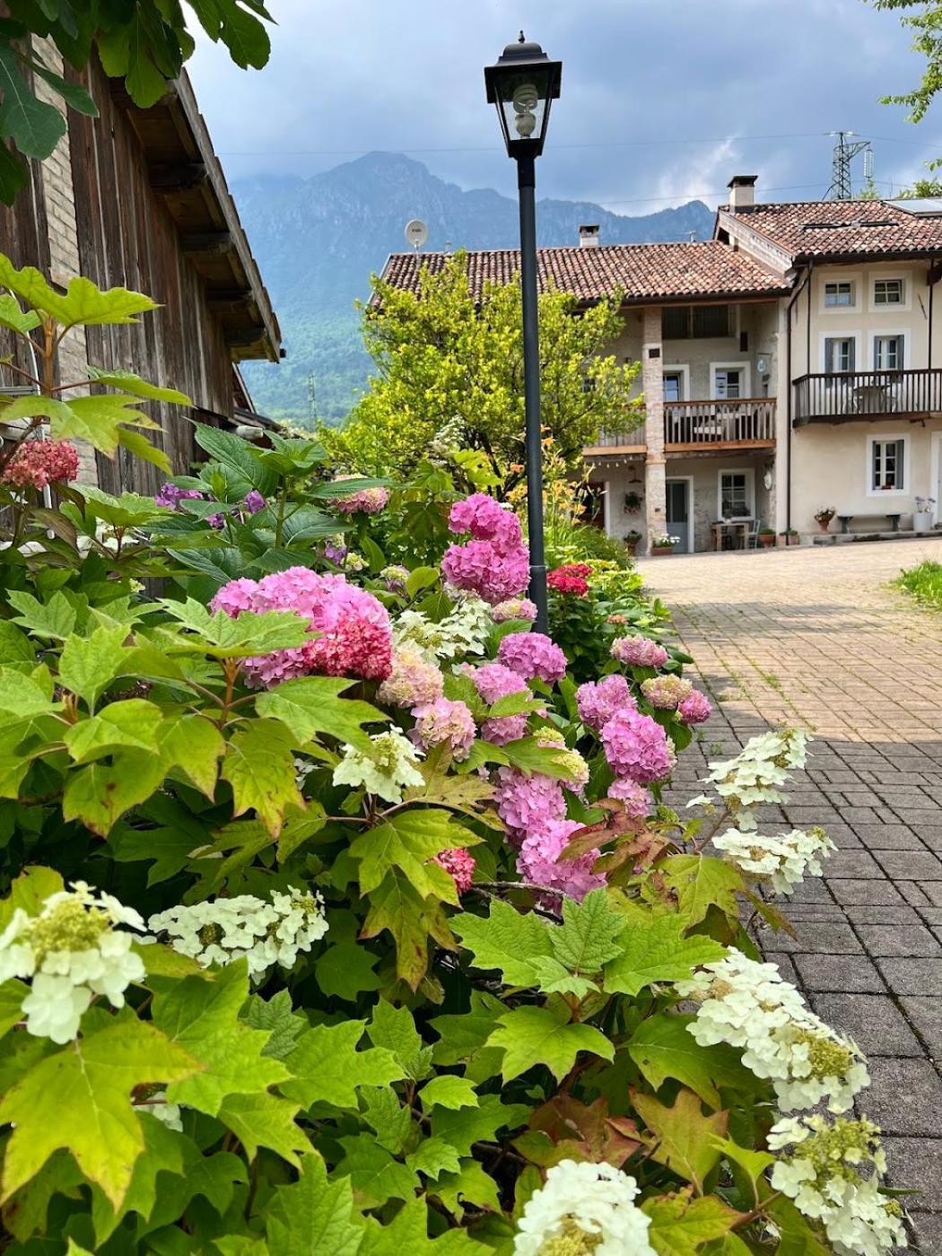 Casa Delle Arti Fattoria Dei Fiori Sospirolo Exterior foto